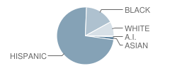 Vaughn Elementary School Student Race Distribution