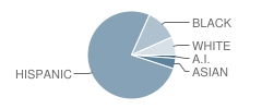 West Middle School Student Race Distribution