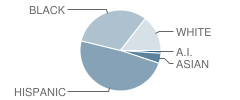 Tollgate Elementary School Student Race Distribution