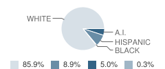 Bayfield Elementary School Student Race Distribution