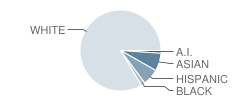 Heatherwood Elementary School Student Race Distribution