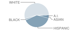 Henderson Elementary School Student Race Distribution