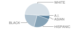 Independence Elementary School Student Race Distribution