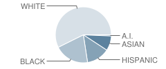 Laredo Middle School Student Race Distribution