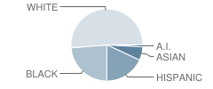 Cimarron Elementary School Student Race Distribution