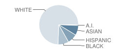 Trails West Elementary School Student Race Distribution