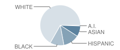 Antelope Ridge Elementary School Student Race Distribution