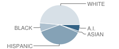 Edison Elementary School Student Race Distribution