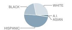 Hunt Elementary School Student Race Distribution