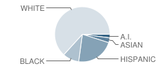 Henry Elementary School Student Race Distribution