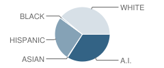 Manaugh Elementary School Student Race Distribution