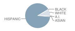 Barnum Elementary School Student Race Distribution