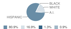 Columbian Elementary School Student Race Distribution