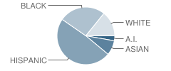 Fairview Elementary School Student Race Distribution