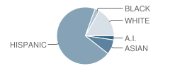 Henry Middle School Student Race Distribution