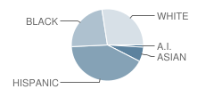 Samuels Elementary School Student Race Distribution