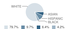 Steck Elementary School Student Race Distribution