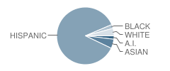 Castro Elementary School Student Race Distribution