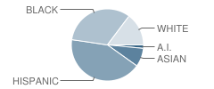 Green Valley Elementary School Student Race Distribution