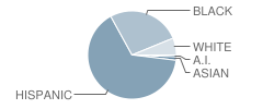 Noel Middle School Student Race Distribution