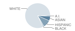 Douglas County High School Student Race Distribution