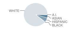 Larkspur Elementary School Student Race Distribution