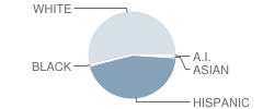 Eagle Valley High School Student Race Distribution