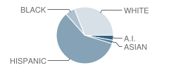 Wm E Bishop Elementary School Student Race Distribution