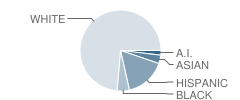 Falcon Elementary School Student Race Distribution