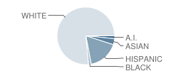 Boltz Junior High School Student Race Distribution