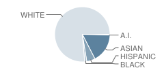 Traut Core Elementary School Student Race Distribution