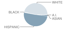 South Valley Middle School Student Race Distribution