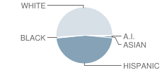 Valley High School Student Race Distribution