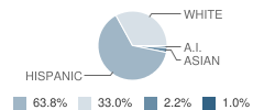 Roaring Fork High School Student Race Distribution