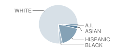 Orchard Avenue Elementary School Student Race Distribution