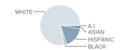 Pomona Elementary School Student Race Distribution