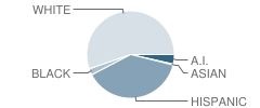 Rocky Mountain Elementary School Student Race Distribution