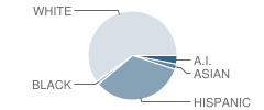 L W St John Middle School Student Race Distribution