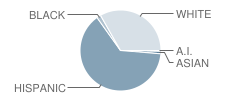 Brentwood Middle School Student Race Distribution