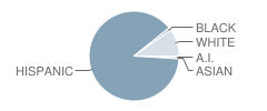 Madison Elementary School Student Race Distribution