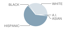 Northridge High School Student Race Distribution