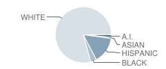 Hanover Junior-High School Student Race Distribution