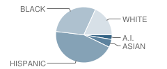 Centennial Elementary School Student Race Distribution