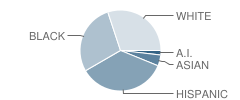 Giberson Elementary School Student Race Distribution