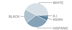 Stratmoor Hills Elementary School Student Race Distribution