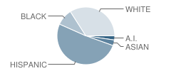 Oak Creek Elementary School Student Race Distribution