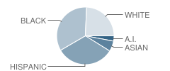 Sierra High School Student Race Distribution