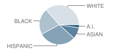 Otero Elementary School Student Race Distribution