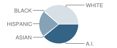 Ignacio Elementary School Student Race Distribution