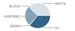 Ignacio Intermediate School Student Race Distribution